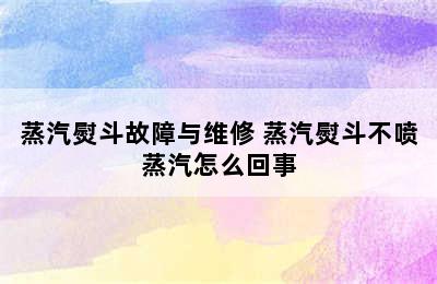 蒸汽熨斗故障与维修 蒸汽熨斗不喷蒸汽怎么回事